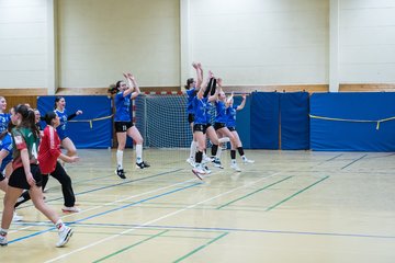 Bild 394 - wCJ TSV Ellerau - HSG Kremperheide/Muensterdorf : Ergebnis: 22:20